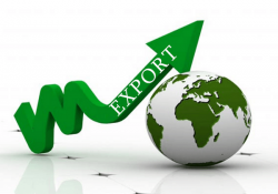 Предприятия Гомельской области увеличили экспорт