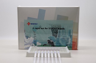 ��������-����� BIOEASY (������) ��� ����������� ���������� � ������