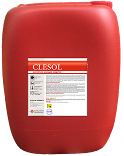 ��������� ��������� ������ �������� CLESOL